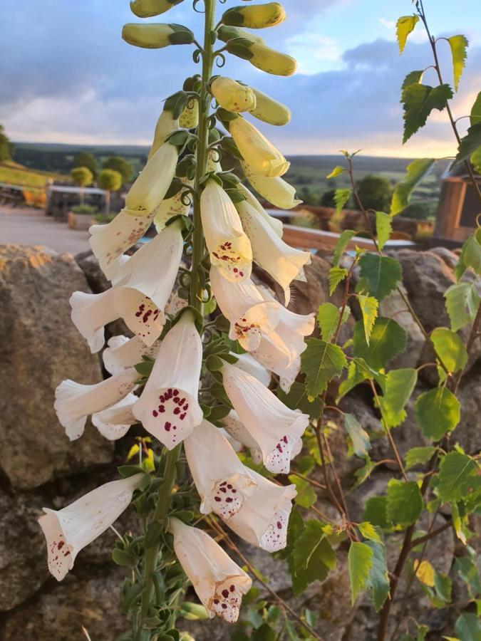 Howgill Farm Bolton Abbey Lodge Appletreewick